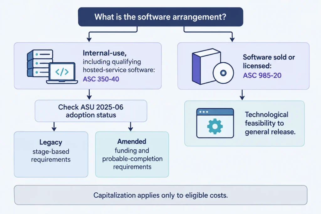 Software arrangement and adoption status identify the applicable capitalization requirements under US GAAP.